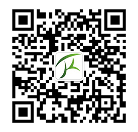 公海彩船6600(中国)官方网站